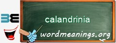 WordMeaning blackboard for calandrinia